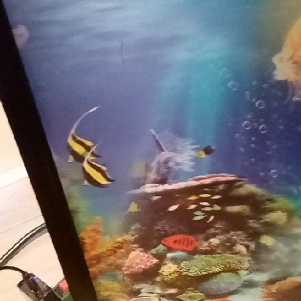Vibrant Underwater Fish Scene Framed Art
